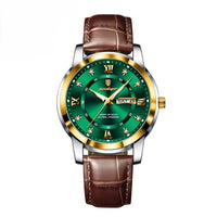 Correa Marrón - Verde-dorado